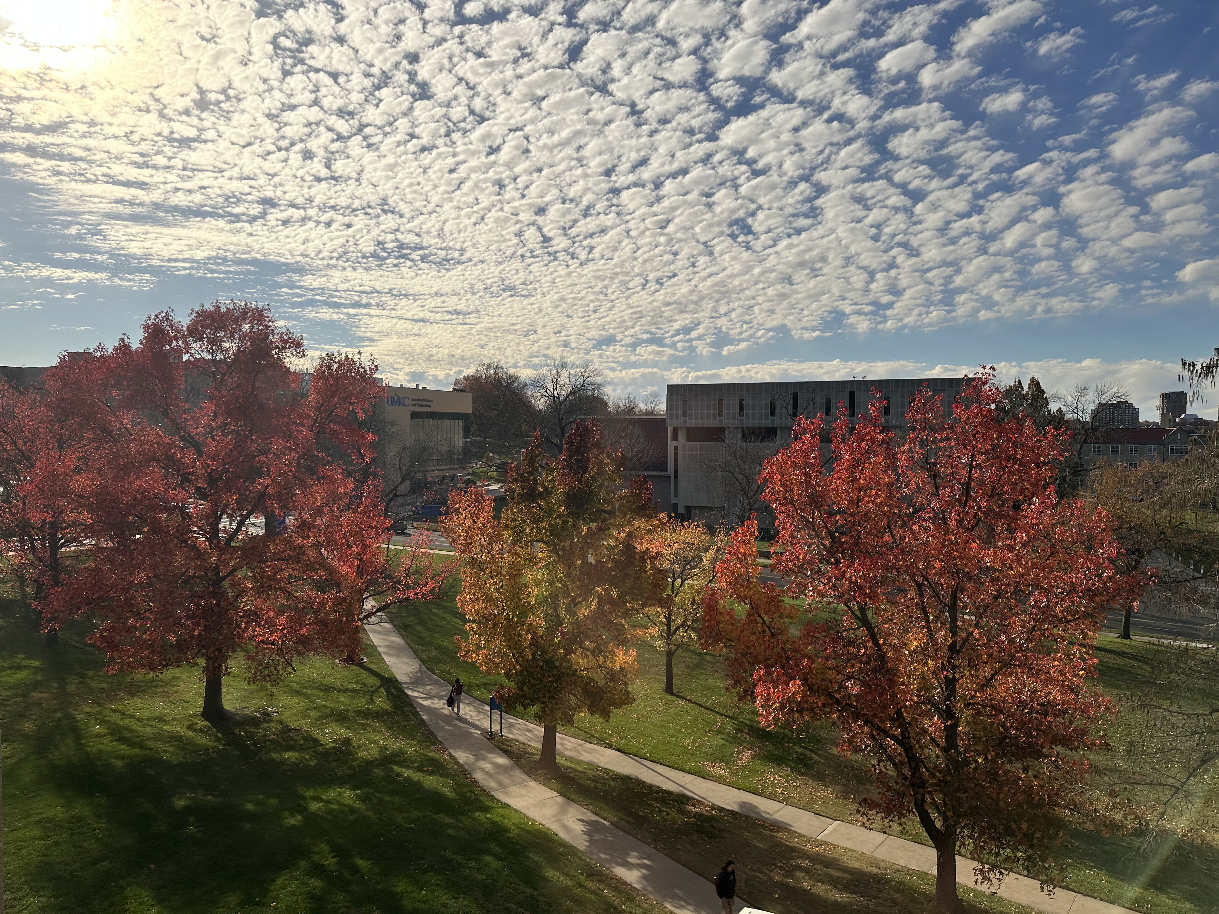 UMKC from the Biological Sciences Building