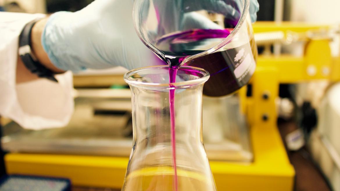 Person in lab is wearing blue gloves and pours purple liquid into lab glasware