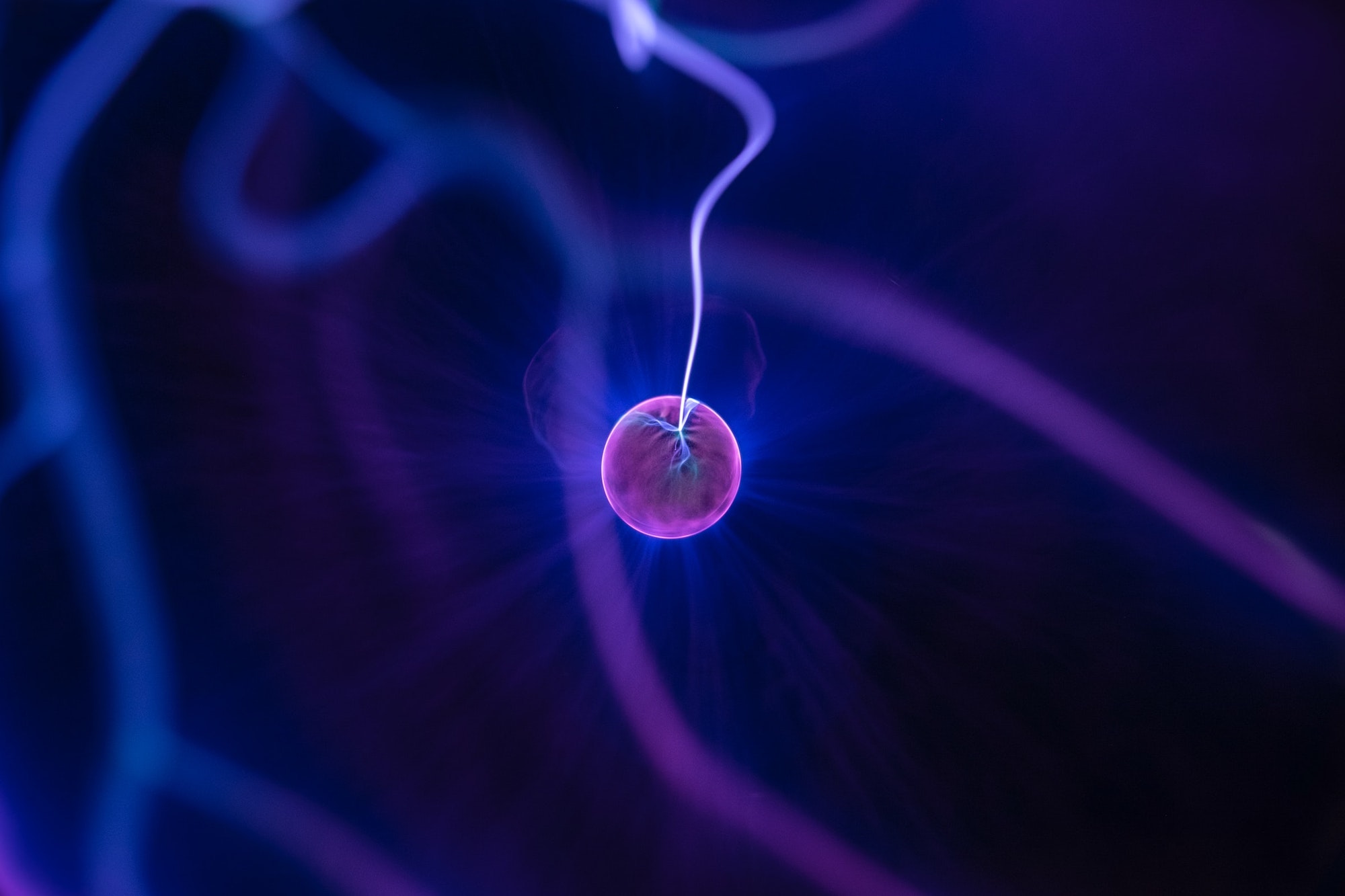 cells displayed with pink and purple contrasted colors