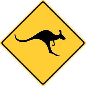 Kangaroo Crossing