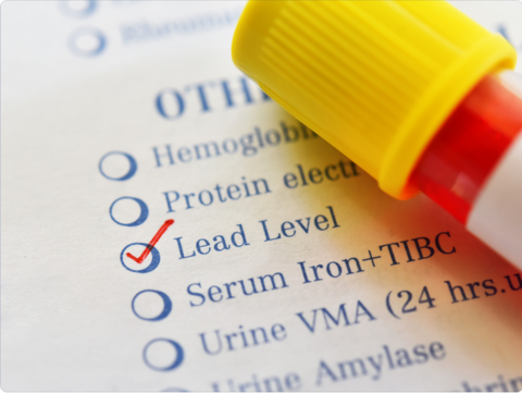 Lead Level Test