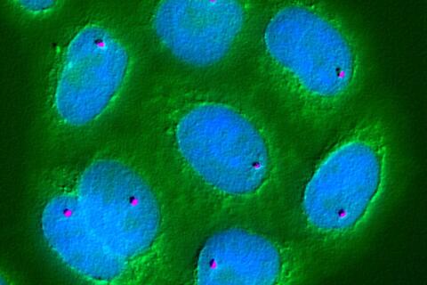 scientific_photo_3-p-1080.jpeg