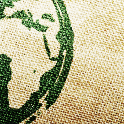 Africa on Canvas Background
