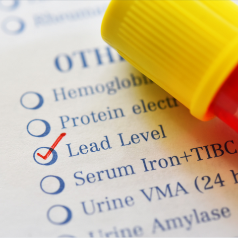 Lead Level Test