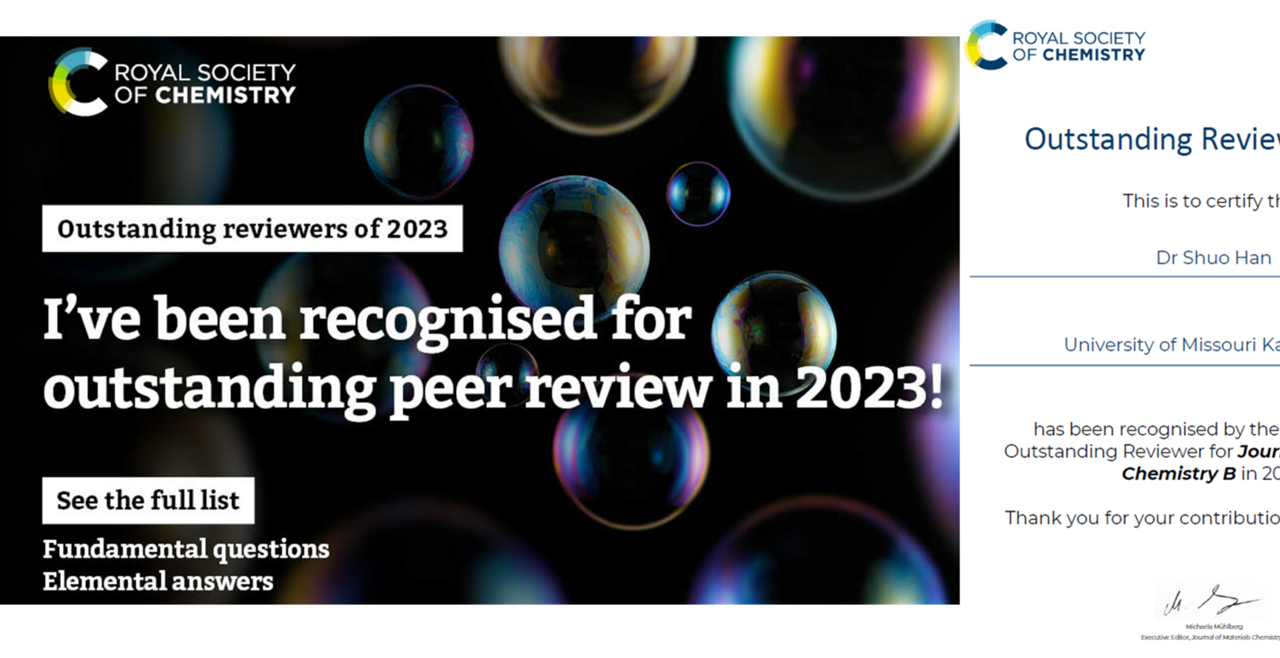 Outstanding Reviewer