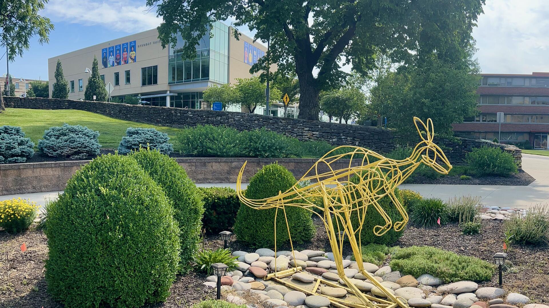 yellow roo in front of Student Union