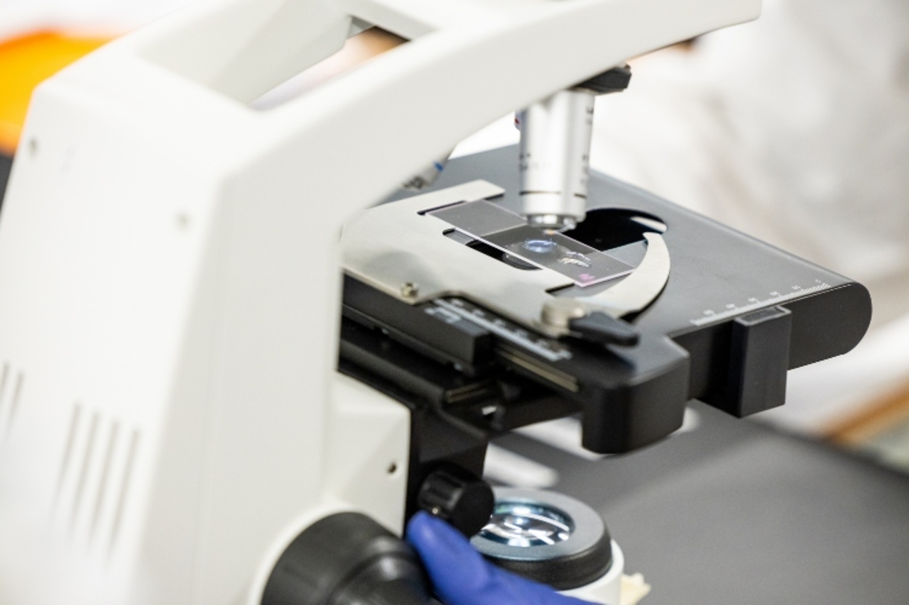 Close-up of microscope