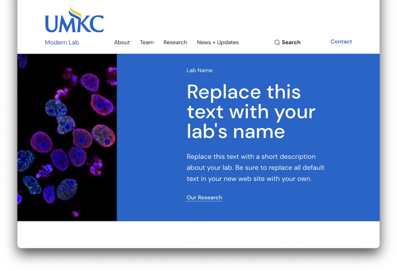 Image is on one third of hero and text on blue background is on the right side.